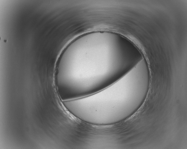 X0000072501296200607140926