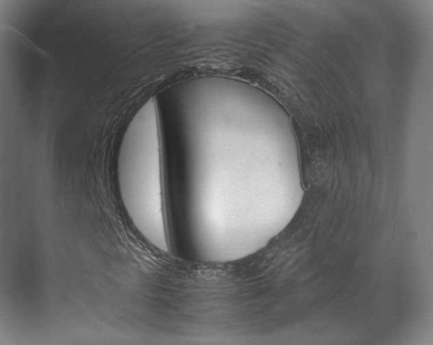 X0000072501297200607140926
