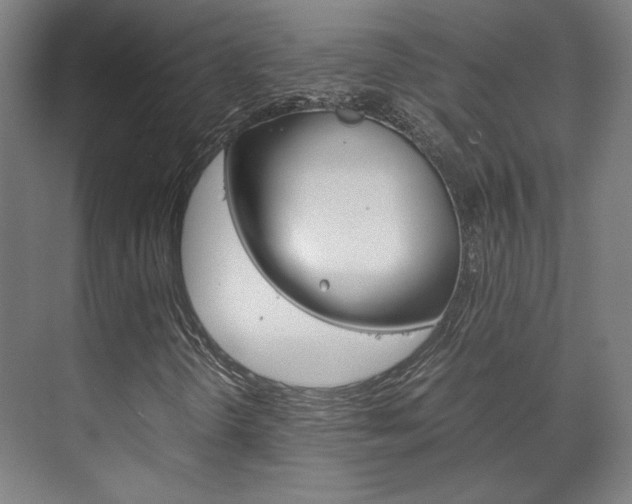 X0000072501298200607140926