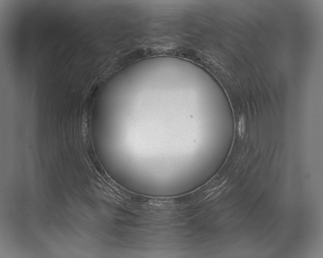 X0000072501299200607140926