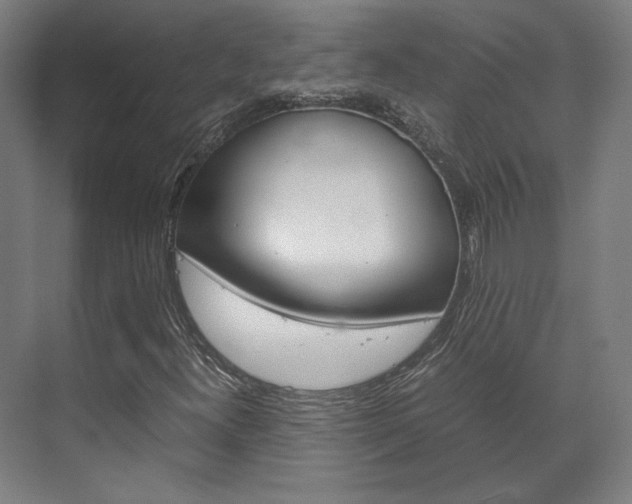 X0000072501300200607140926