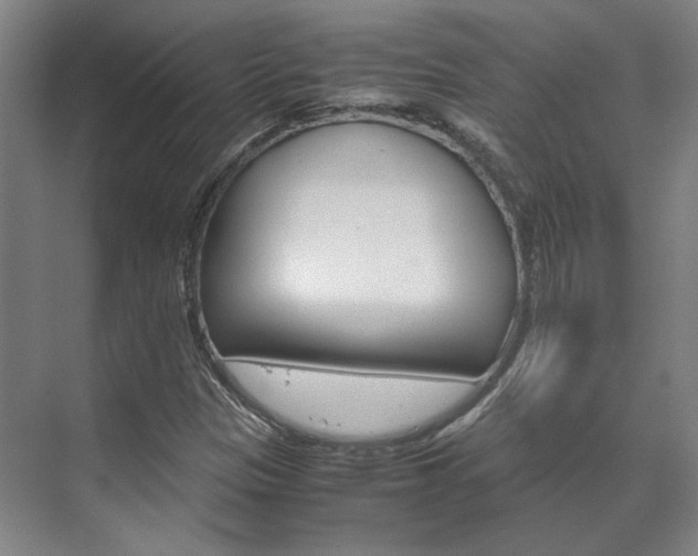 X0000072501305200607140926