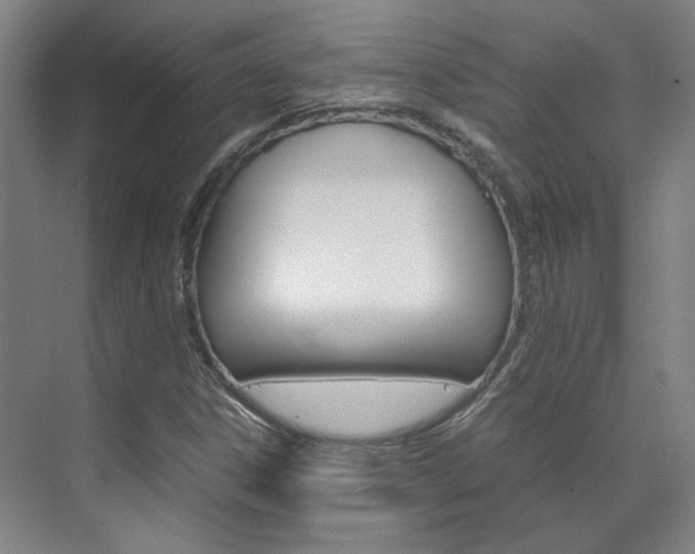 X0000072501306200607140926