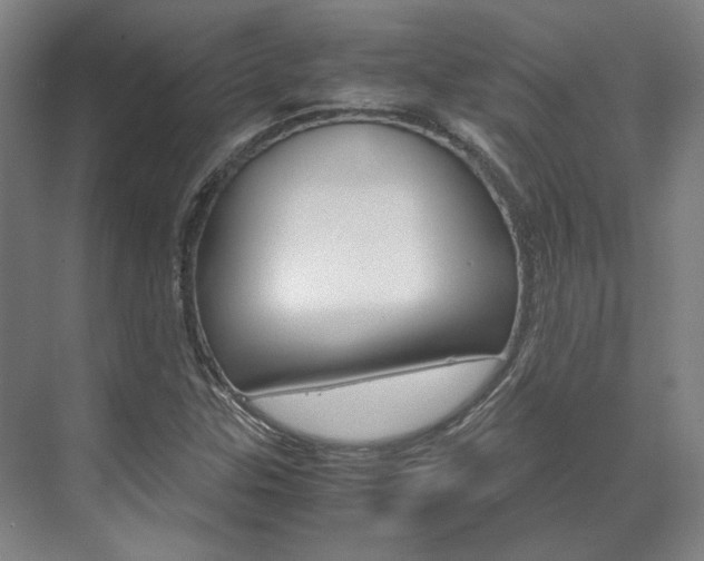 X0000072501307200607140926