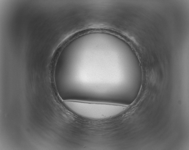 X0000072501311200607140926