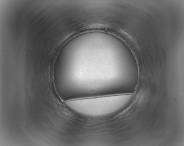 X0000072501313200607140926