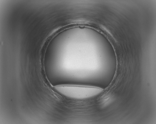 X0000072501315200607140926