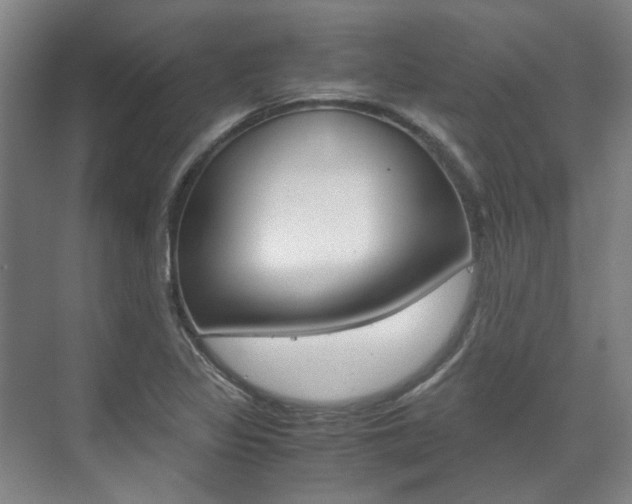 X0000072501317200607140926