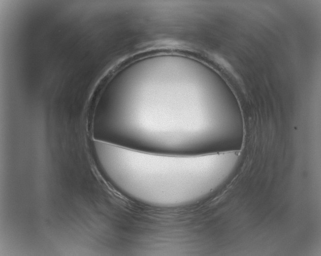 X0000072501318200607140926