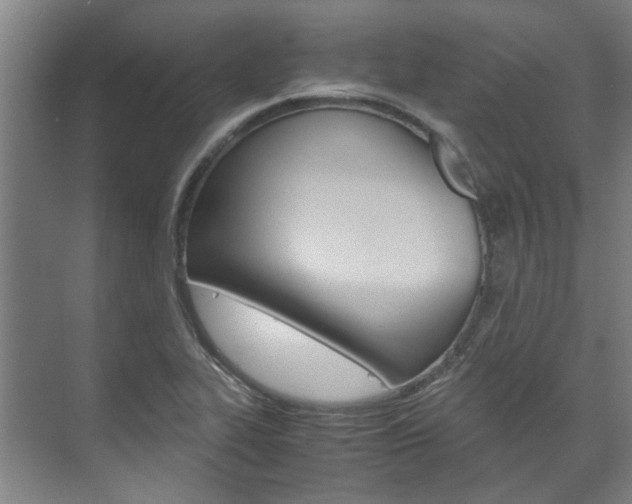 X0000072501319200607140926