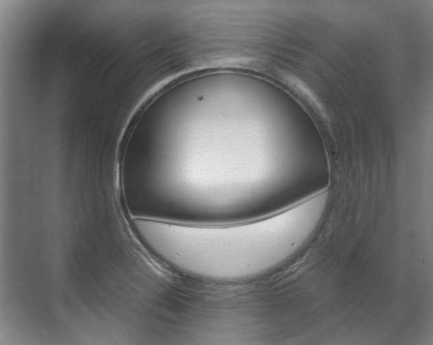 X0000072501324200607140926