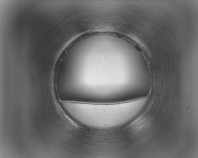 X0000072501325200607140926