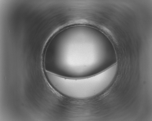 X0000072501326200607140926