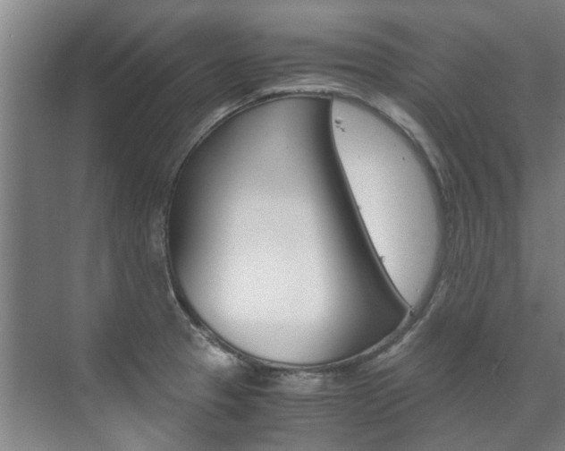 X0000072501329200607140926
