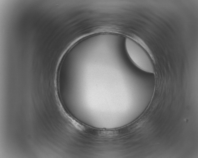 X0000072501339200607140926
