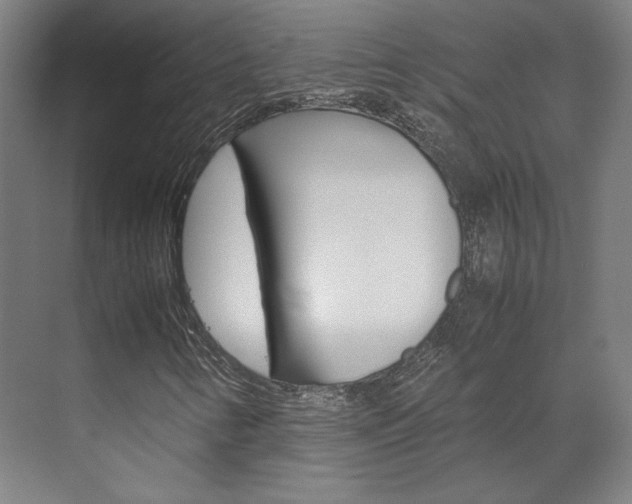 X0000072501346200607140926