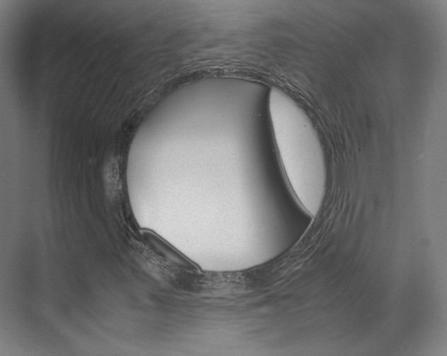 X0000072501347200607140926