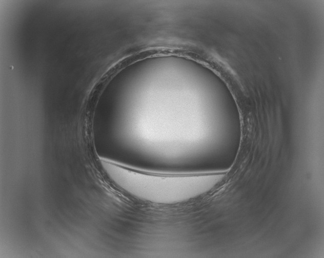 X0000072501352200607140925