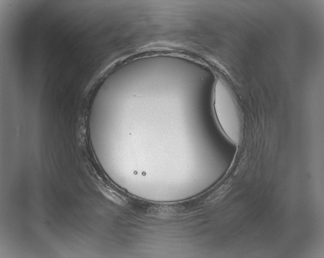 X0000072501355200607140925