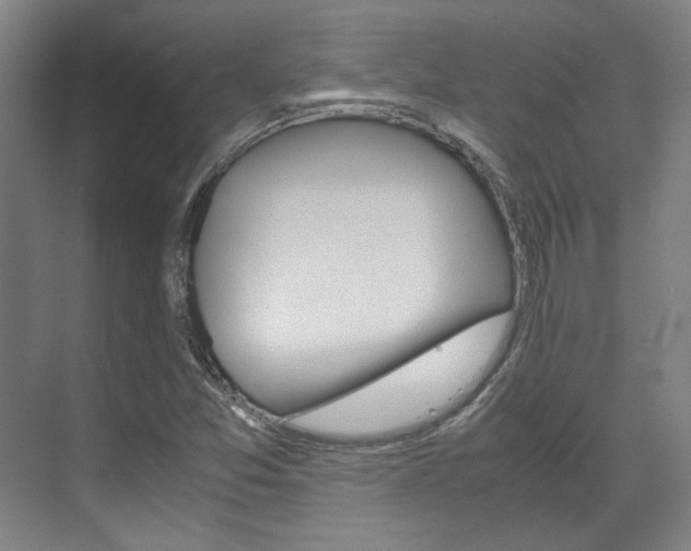 X0000072501357200607140925