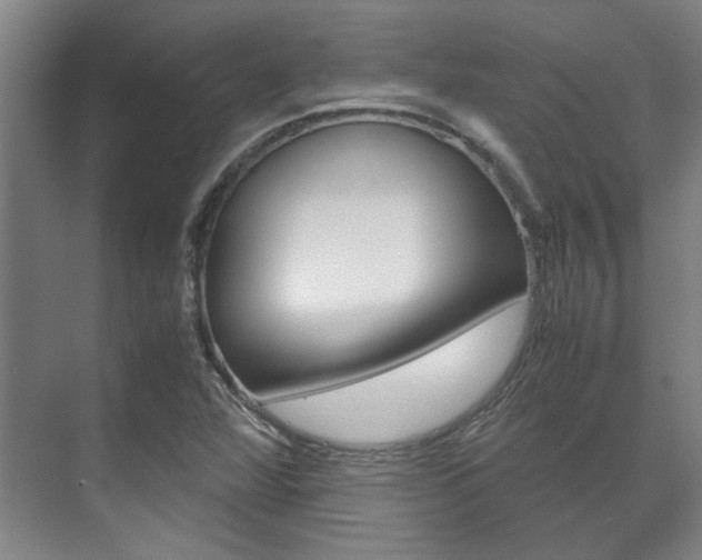 X0000072501360200607140925