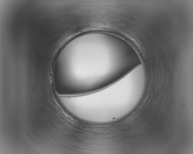 X0000072501363200607140925