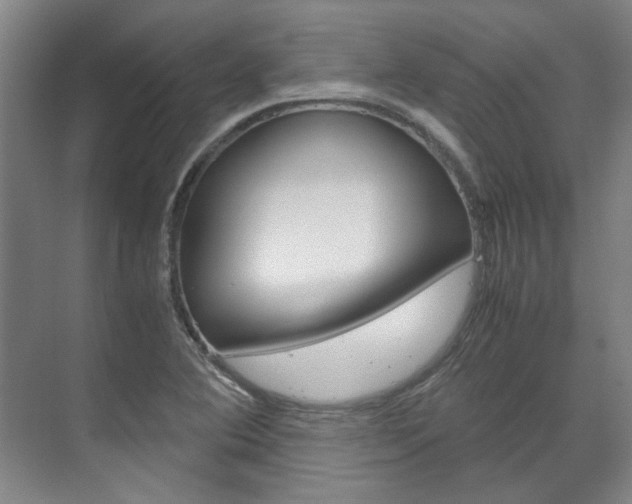X0000072501364200607140925
