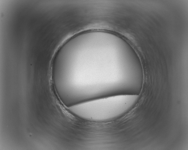 X0000072501366200607140925