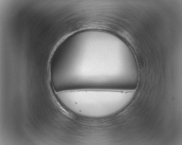 X0000072501371200607140925