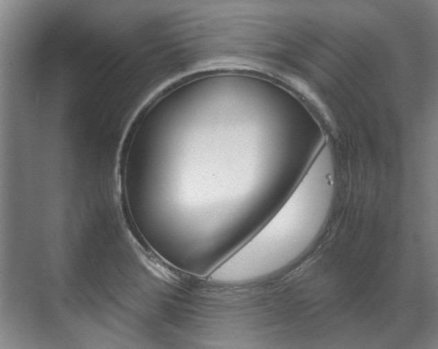 X0000072501372200607140925