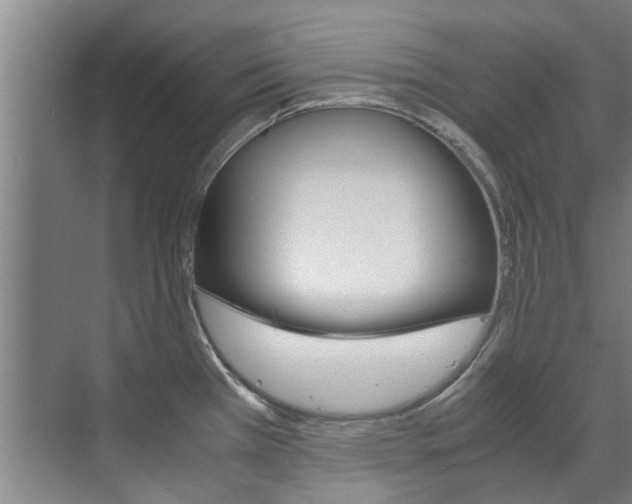 X0000072501385200607140925