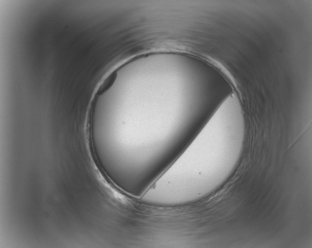 X0000072501387200607140925
