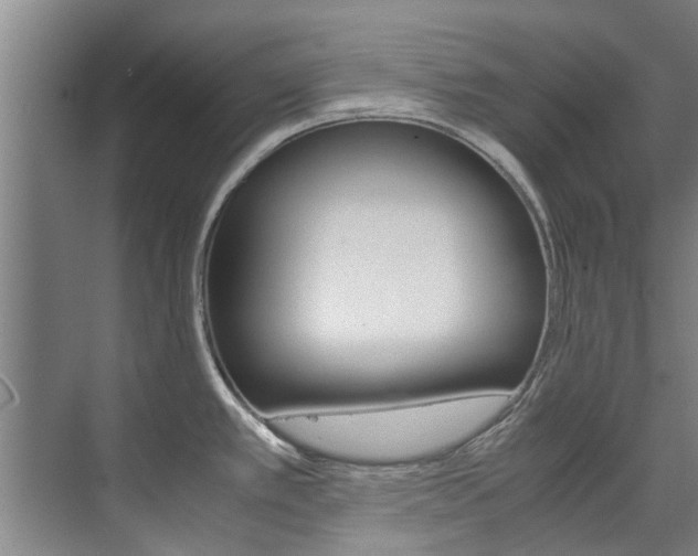 X0000072501389200607140925