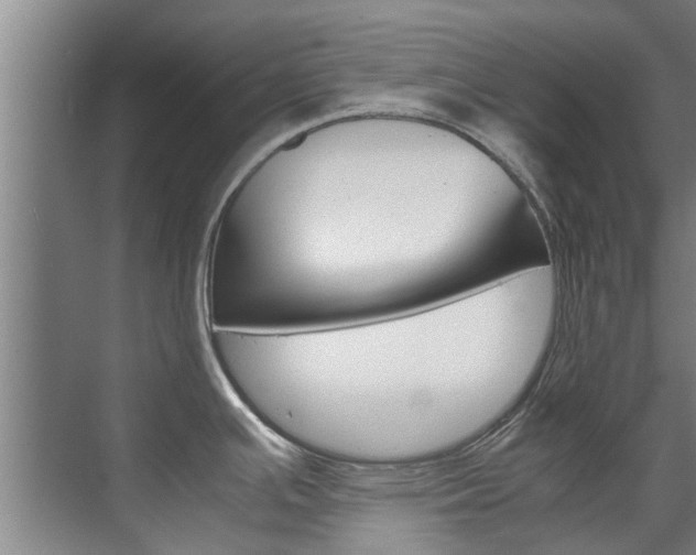X0000072501391200607140925