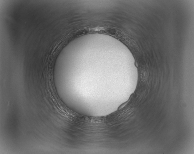 X0000072501393200607140924