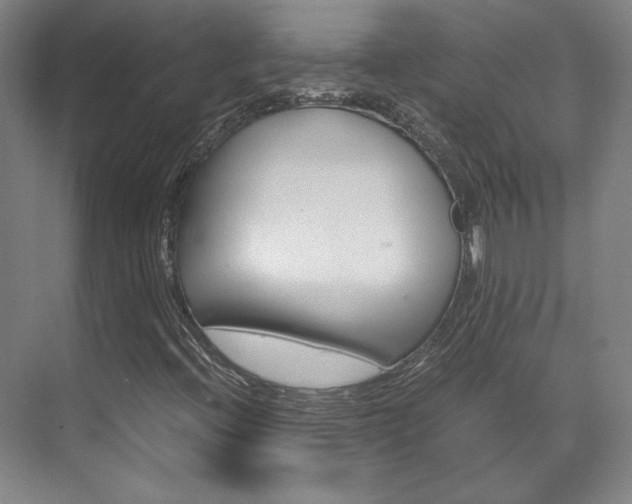X0000072501396200607140924
