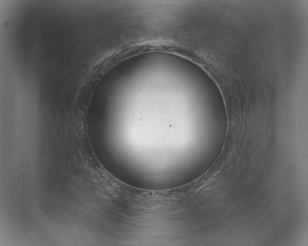 X0000072501398200607140924