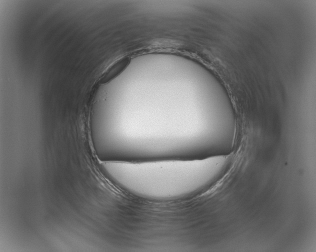 X0000072501401200607140924
