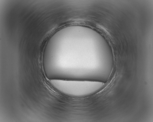X0000072501403200607140924