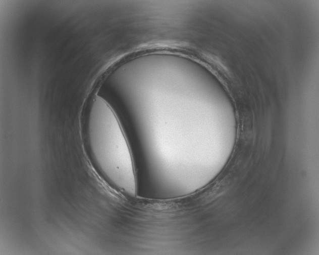 X0000072501404200607140924