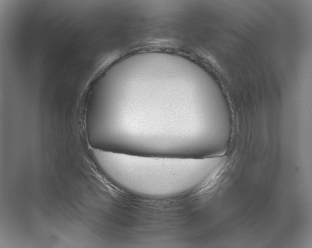 X0000072501405200607140924