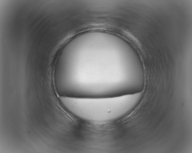 X0000072501411200607140924