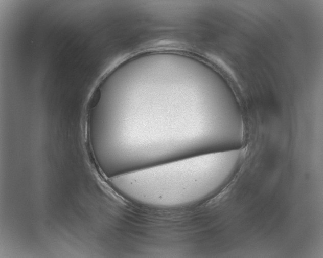 X0000072501413200607140924