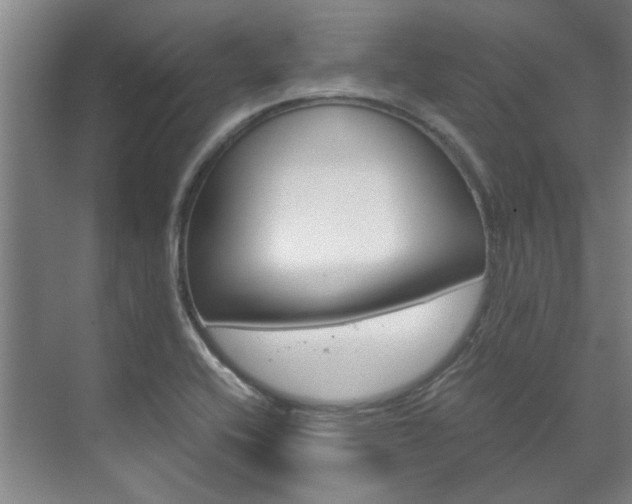 X0000072501416200607140924