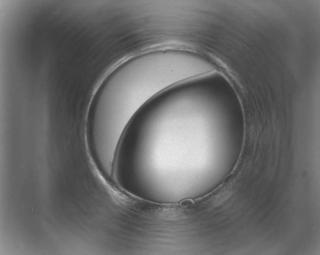 X0000072501418200607140924