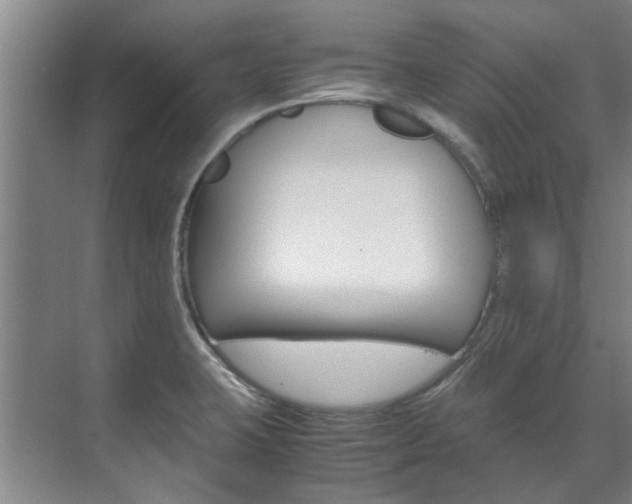 X0000072501423200607140924