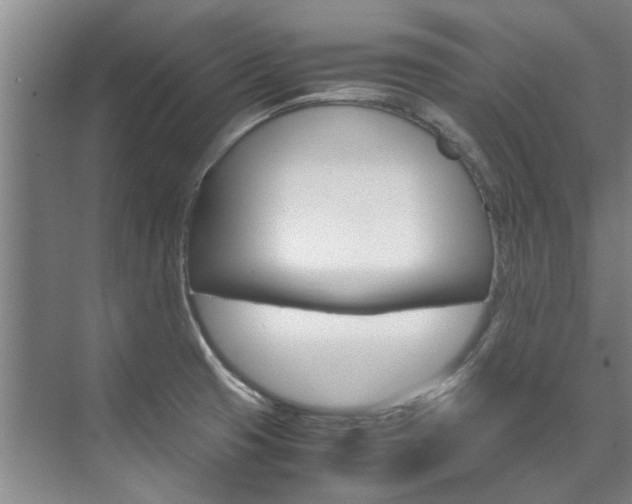 X0000072501425200607140924