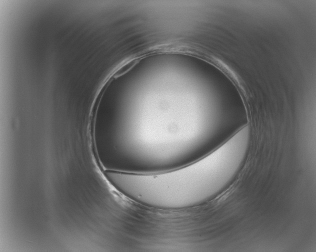 X0000072501434200607140925