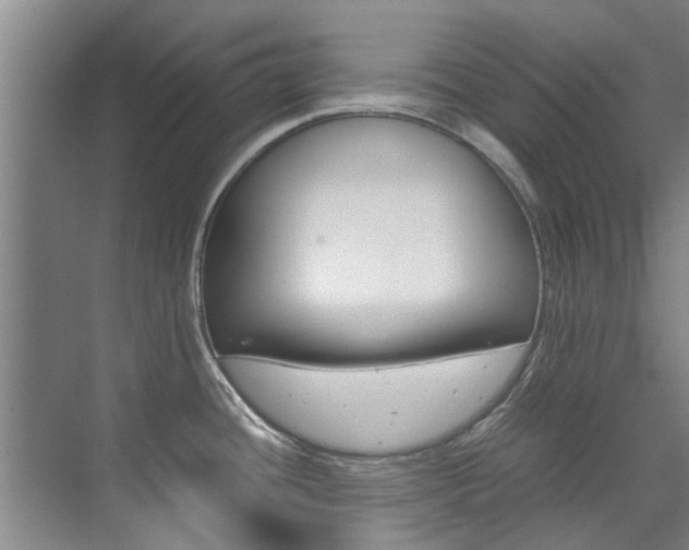 X0000072501436200607140925