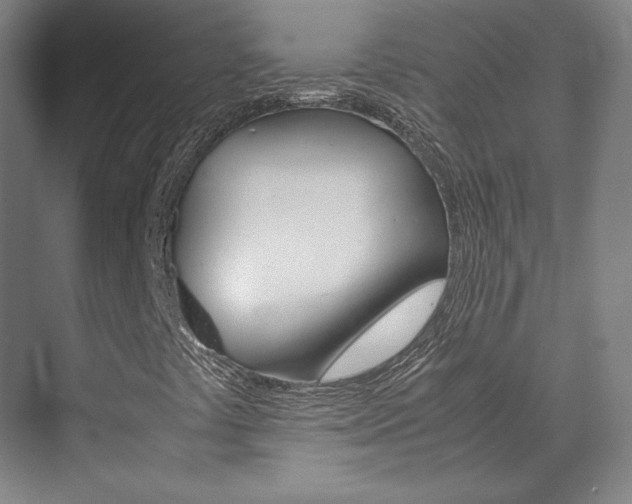 X0000072501441200607140924